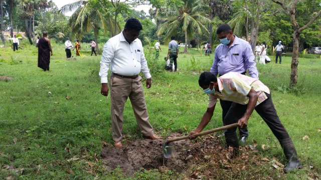 Tree Plantation at GA Bungalow